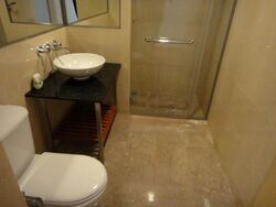 Cairnhill Crest (D9), Condominium #482280701